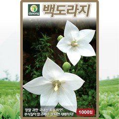 백도라지 씨앗 도라지 씨 토종 약초 종자 1000립, 1개