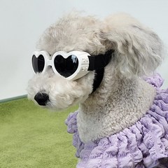 펫카 자외선 UV차단 반려견 강아지 선글라스 고글 하트, 화이트