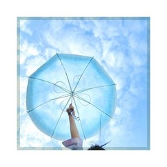 해파리 우산 양산 장우산 양우산 초경량 자동 접이식 대형 예쁜 초경량 거꾸로 경량 투명 비닐 튼튼한