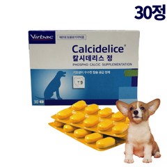 버박 칼슘 비타민 인 종합 영양제 칼시데리스 30정 (강아지 고양이 임신 수유 성장기)