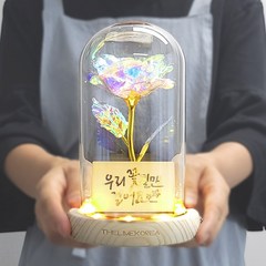 꽃길 오로라장미 유리돔 무드등 DIY 키트 재료 공방, 단품