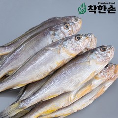 [착한손] 국내산 참조기 반건조 조기 굴비 급냉 산지발송 1팩3미, 5팩(15미), 1개