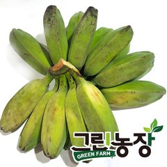 그린 사바 바나나(green saba banana) 그린농장, 3kg, 1개