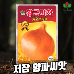 황금마차 양파씨앗 1000립 장기 저장용 양파종자 (23년포장), 1개