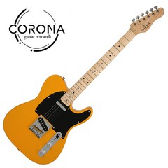 Corona 코로나 Classic TE 클래식 TE 일렉기타, Butterscotch