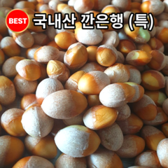 고품질 국내산 토종 깐은행 햇 생은행 특사이즈 500g 1kg, 깐은행 1kg, 1개