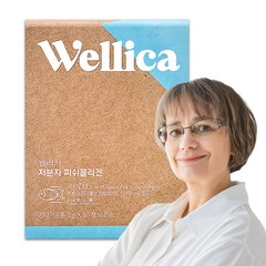 웰리카 저분자 피쉬 어린콜라겐 펩타이드 300달톤 이너뷰티, 1개, 60g