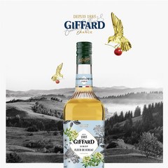 GIFFARD 엘더플라워 시럽, 1000ml, 1개