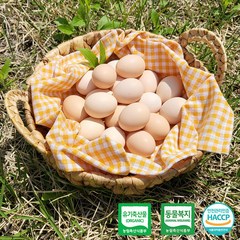 [국민란] 국민 백봉오골계란 100% 유기농 무항생제 대한민국 1호 농장 자연방사 동물복지 무살충제 무살충제 무산란촉진제 무합성착색료 유정란 백봉오골계알 계란 오골계 친환경 달걀, 2. 40알