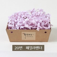 화연양화 블루밍 수국 박스수국 컬러최다 30색! 프리저브드플라워, 20 페일라벤더