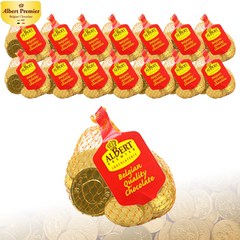 예이니식품 벨기에 알버트 코인 초콜릿망(대) 15개(55gx15개) 선물용동전금화메달