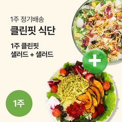 [포켓샐러드] 클린핏 1주 샐러드 식단 (12팩), 230g, 12팩