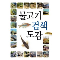 물고기 검색 도감, 노세윤 저, 진선북스, 9791190779302