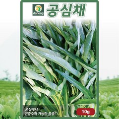 다농 공심채 씨앗 10g, 1개