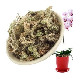 자연 Sphagnum 이끼 긴 섬유질 칠레 난초에 대한 말린 이끼 Potting 믹스 즙이 많은 식물 뿌리 DIY 꽃 냄비 홈 정원, 60, 60