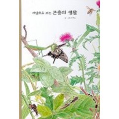 세밀화로 보는 곤충의 생활, 길벗어린이, 권혁도 세밀화 그림책 시리즈