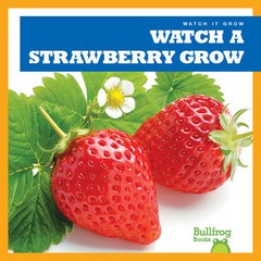 [AR 퀴즈 지원도서 0점대] Watch It Grow 8종, Watch a Strawberry Grow