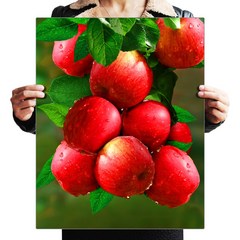 FASEN 액자 캔버스형 보석십자수 DIY 키트 40 x 50 cm, ZSH006.붉은 사과, 1세트