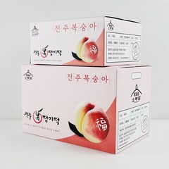 전주 소부당 수능기원 합격찹쌀떡 복숭아떡 아이스모찌, 일반 박스 포장, 15개, 40g
