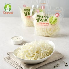 데이밀 자연을담은 샐러드 실속 양배추 채 100g 국내산 바로 먹는 야채 채소, 10팩