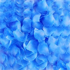 카푸 이벤트에 좋은 인조꽃잎 100장, 블루