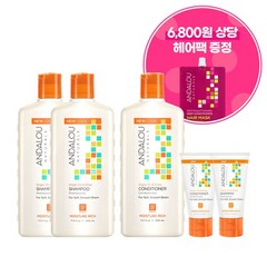 [안달로우] 아르간 오일 시어버터 샴푸 340ml 2개 컨디셔너1 1개 여행용 샴푸&컨디