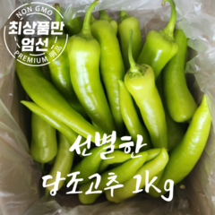 국내산 당조고추 당고추 당조 고추 1kg, 1개