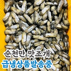 국산 남해안 생물 맛조개, 400g, 1개