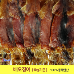 죽도시장 배오징어 최상급 1kg기준 (9~12마리), 10마리