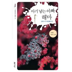 아기 낳는 아빠 해마:신화 속 바닷물고기, 지성사, 최영웅,박흥식 공저