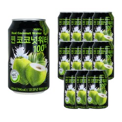 파모빗 찐 코코넛워터 음료, 330ml, 12개