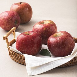 곰곰 당도선별 사과, 1봉, 1kg(4~6입)
