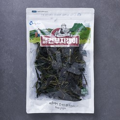 프롬제주 제주산 부지깽이 100g, 1개