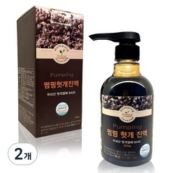 해피테라스 펌핑 헛개 진액 500g, 2개