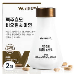 비타민마을 맥주효모 비오틴 아연 비타민B 45g, 2개
