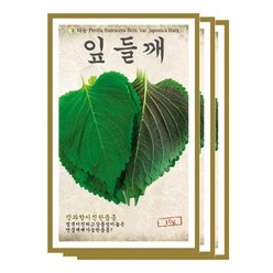 다농 잎들깨씨앗, 3개