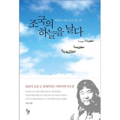 조국의 하늘을 날다(보급판), 돌베개, 김신