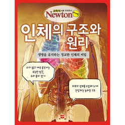 인체 구조와 원리, 아이뉴턴(뉴턴코리아)