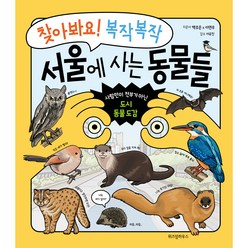 찾아봐요! 복작복작 서울에 사는 동물들:사람만이 전부가 아닌 도시 동물 도감, 위즈덤하우스