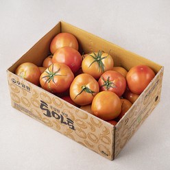 우일팜 GAP 주스용 토마토, 5kg, 1박스