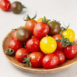 해맑은들녘 GAP 인증 칵테일 토마토, 1kg, 1팩