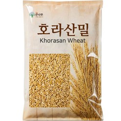 터키 호라산밀, 4kg, 1개