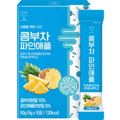 데이앤 콤부차 파인애플, 5g, 10개입, 1개