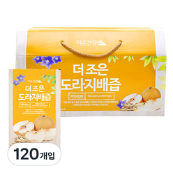 더존건강 더 조은 도라지배즙, 100ml, 120개