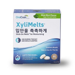 오라코트 자일리멜츠 XyliMelts Mild Mint, 30.2g, 1개