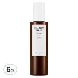 미샤 데미지드 헤어 테라피 헤어미스트, 200ml, 6개