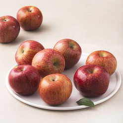 곰곰 당도선별 사과, 1봉, 1.5kg(8~9입)