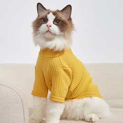 파스텔펫 반려동물용 컬러 꽈배기 터틀넥 티셔츠, 옐로우