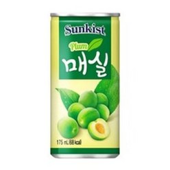 썬키스트 매실 175mlx30캔x2박스, 175ml, 60개