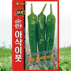 오이맛 순한 아삭이풋고추 씨앗(50립)(A0153), 1개